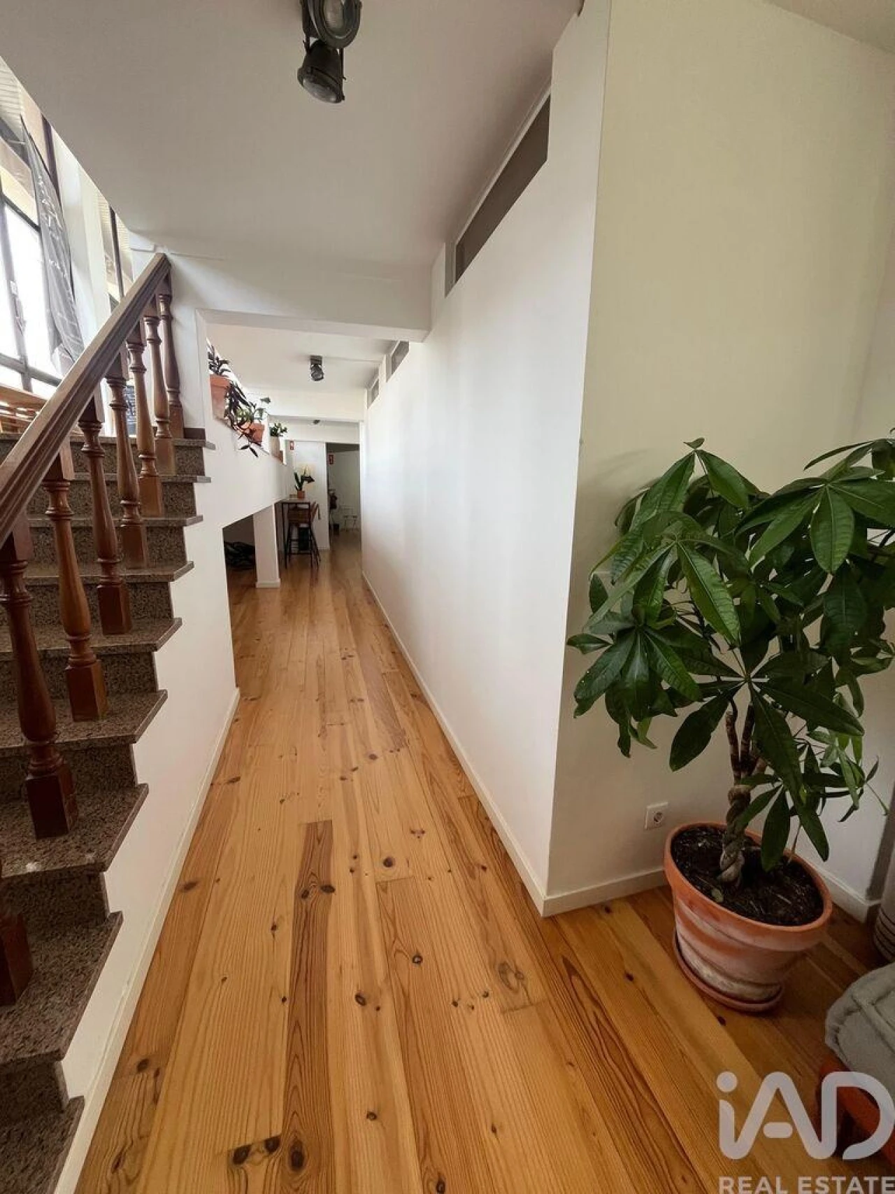 Loja para Venda em Ferrel Foto 16