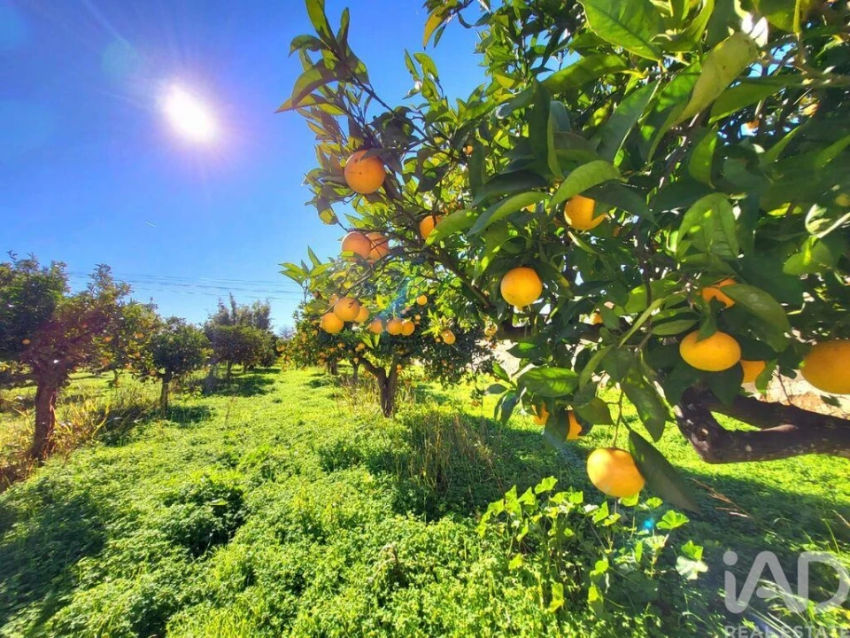 Moradia T5 para Venda em Luz de Tavira e Santo Estêvão Foto 36