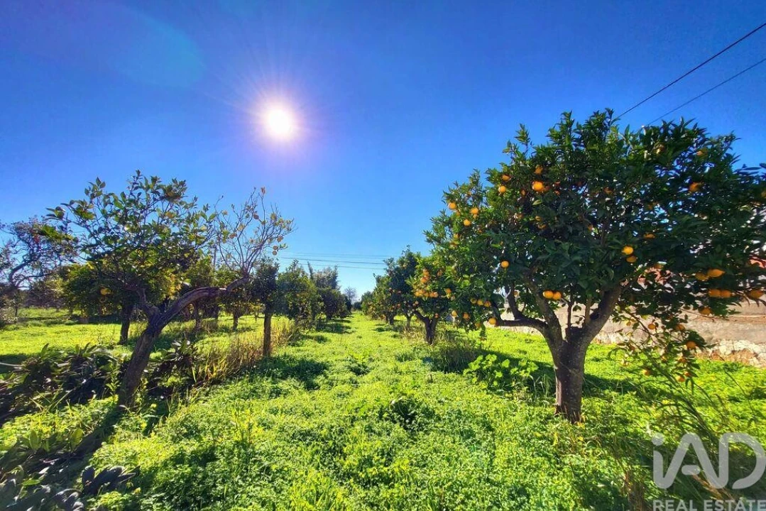 Moradia T5 para Venda em Luz de Tavira e Santo Estêvão Foto 37