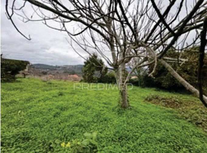 Quinta T9 para Venda em Barbeita Foto 15