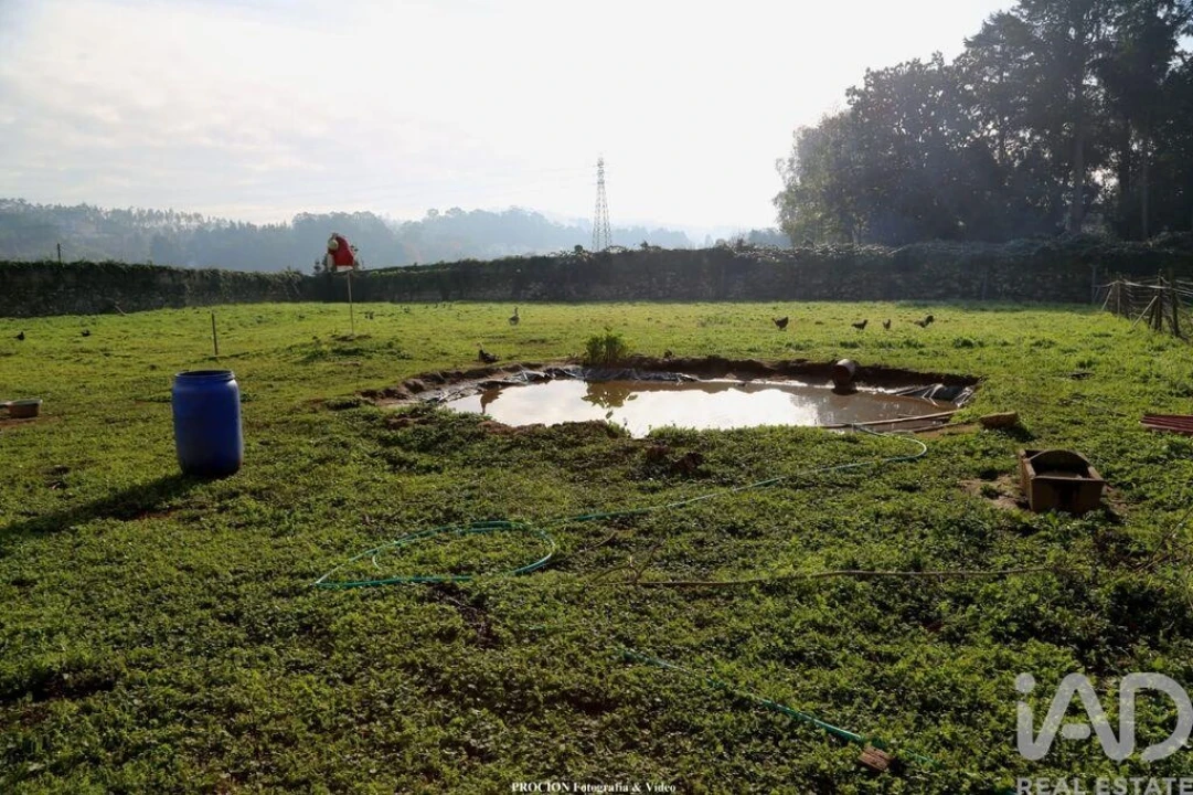 Quinta T3 para Venda em Vila de Cucujães Foto 16