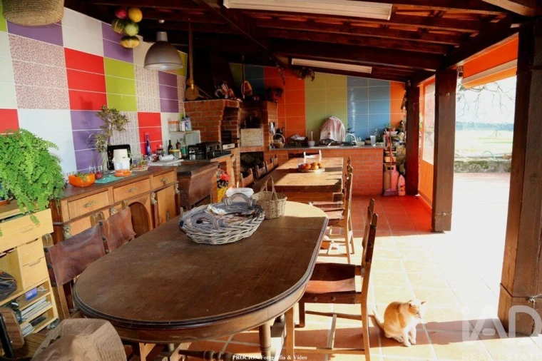 Quinta T3 para Venda em Vila de Cucujães Foto 5