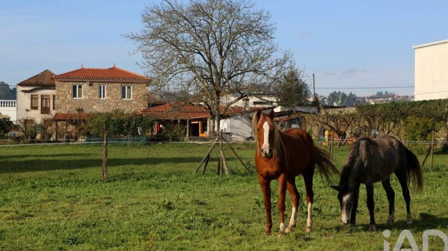 Quinta T3 para Venda em Vila de Cucujães