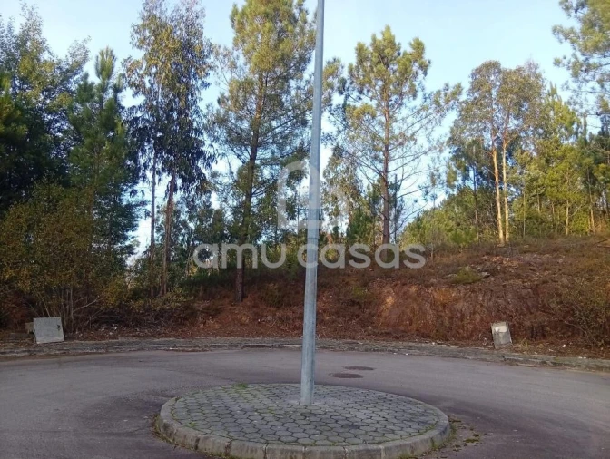 Terreno para Venda em Nogueira do Cravo e Pindelo Foto 1