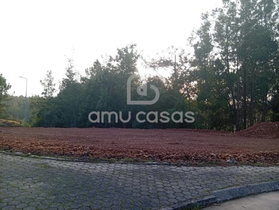Terreno para Venda em Nogueira do Cravo e Pindelo Foto 6