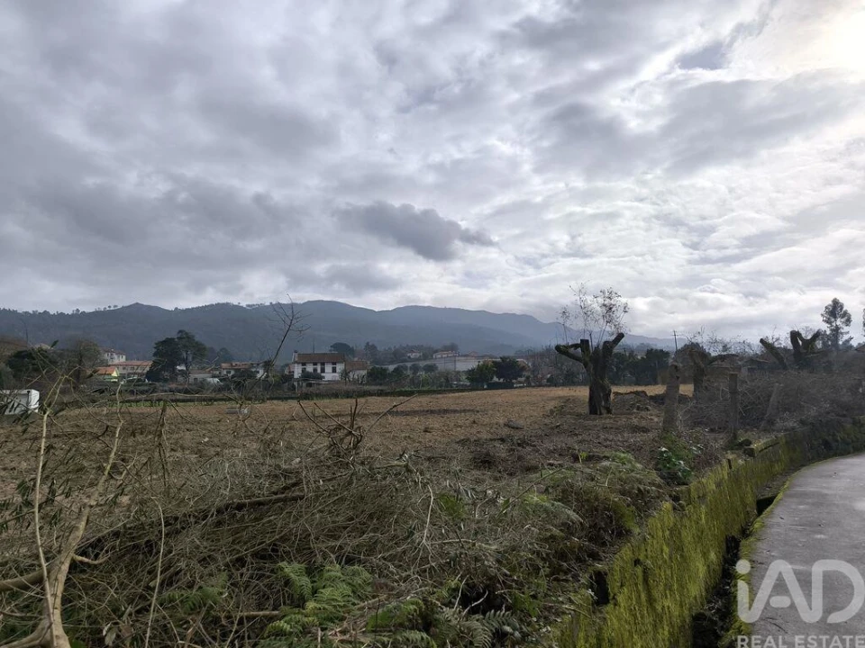 Terreno para Venda em Seara Foto 5