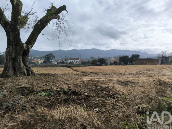 Terreno para Venda em Seara Foto 3