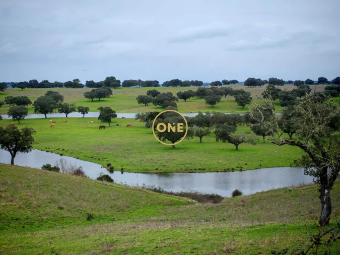 Moradia T3 para Venda em Pavia Foto 22