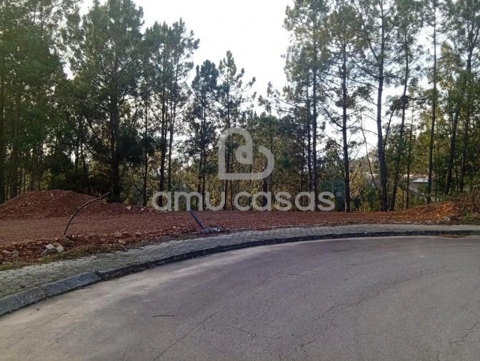 Terreno para Venda em Nogueira do Cravo e Pindelo Foto 5