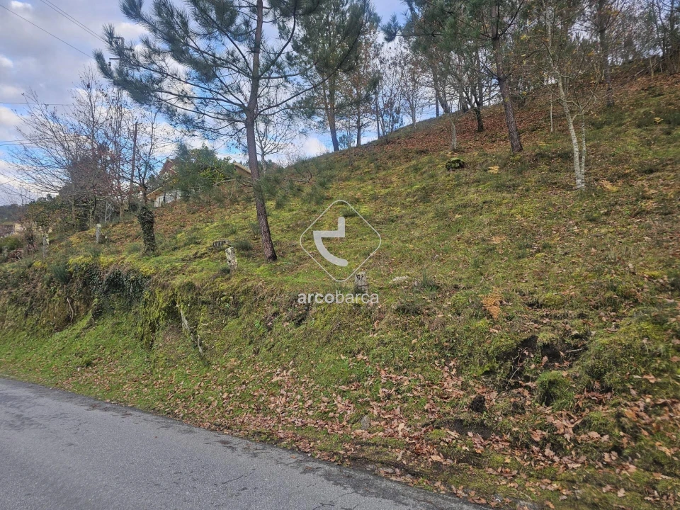 Terreno para Venda em Eiras e Mei Foto 17