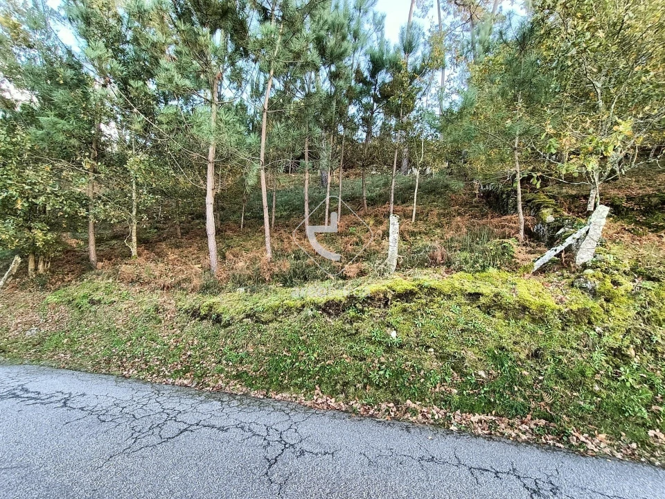 Terreno para Venda em Eiras e Mei Foto 9