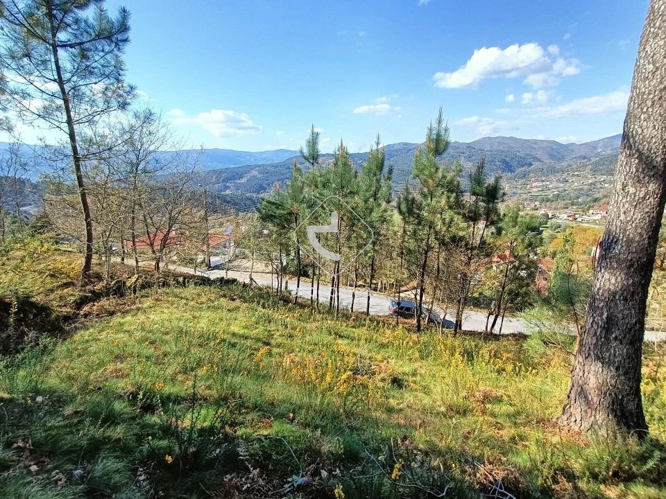 Terreno para Venda em Eiras e Mei Foto 3