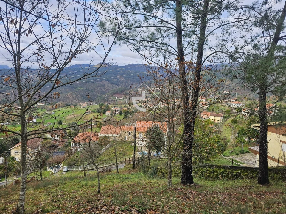 Terreno para Venda em Eiras e Mei Foto 10