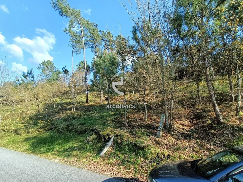 Terreno para Venda em Eiras e Mei Foto 7
