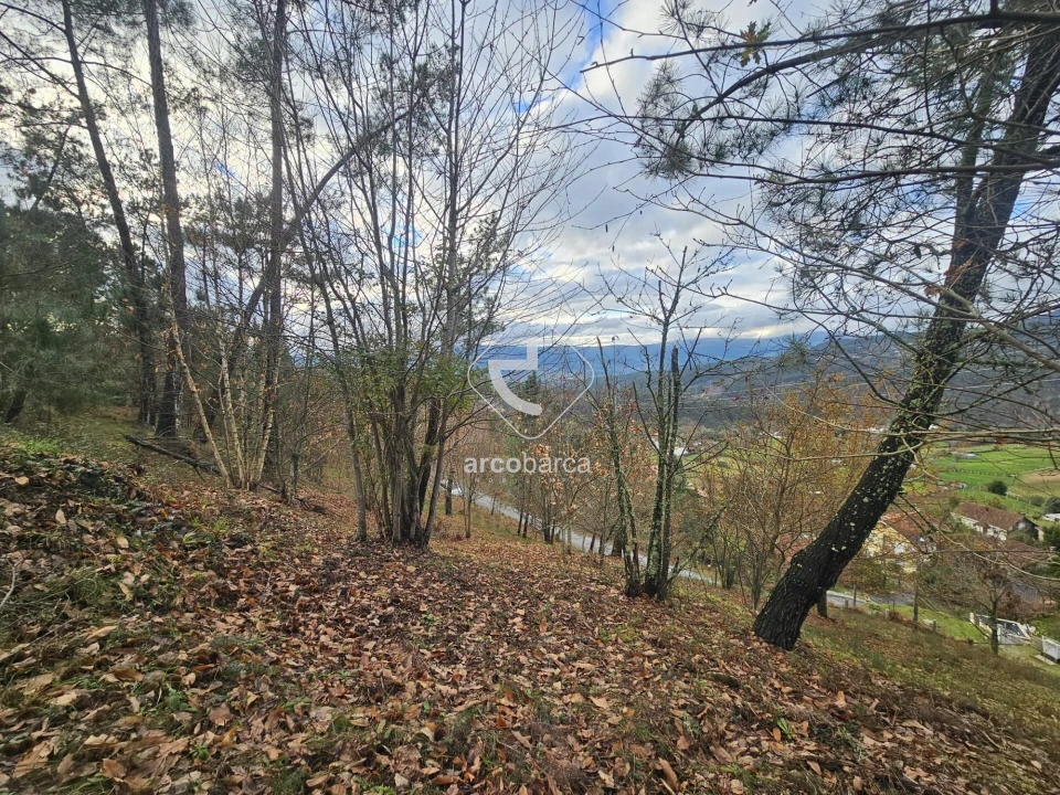 Terreno para Venda em Eiras e Mei Foto 13