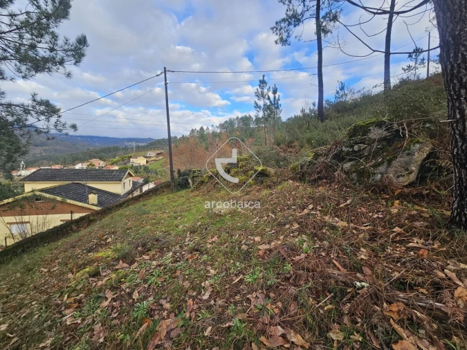 Terreno para Venda em Eiras e Mei Foto 15