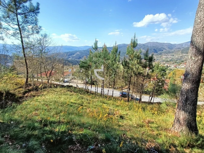 Terreno para Venda em Eiras e Mei Foto 3