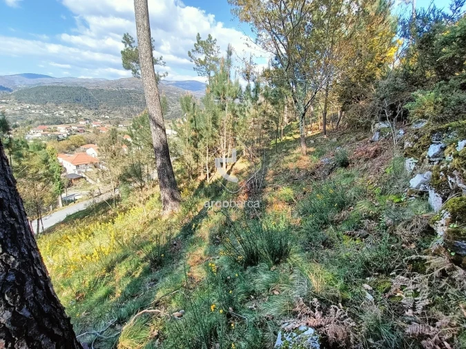 Terreno para Venda em Eiras e Mei Foto 1