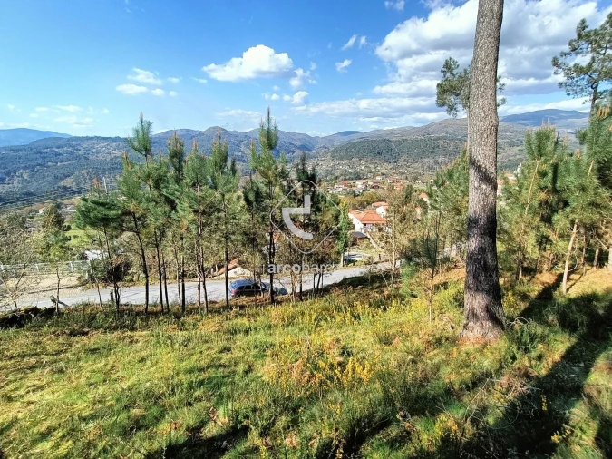 Terreno para Venda em Eiras e Mei Foto 2