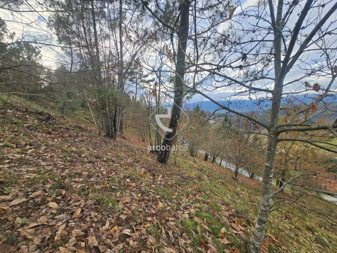 Terreno para Venda em Eiras e Mei Foto 16