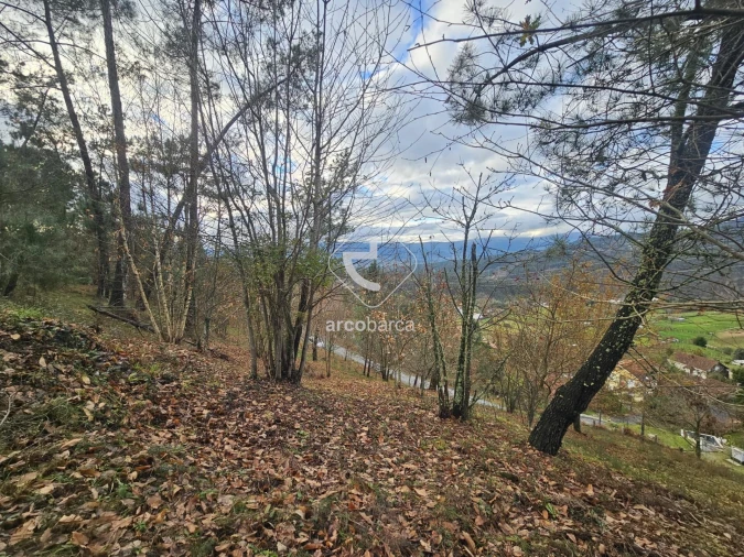 Terreno para Venda em Eiras e Mei Foto 13