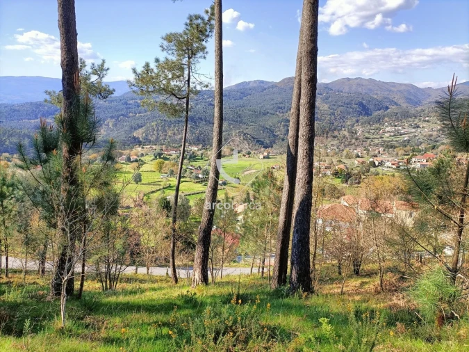 Terreno para Venda em Eiras e Mei Foto 6
