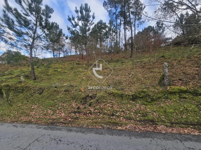 Terreno para Venda em Eiras e Mei Foto 18