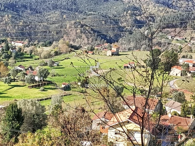 Terreno para Venda em Eiras e Mei Foto 5