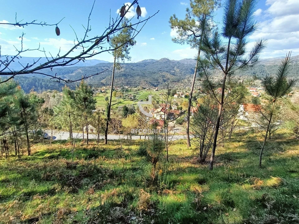 Terreno para Venda em Eiras e Mei Foto 4