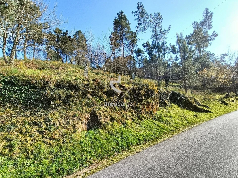 Terreno para Venda em Eiras e Mei Foto 8
