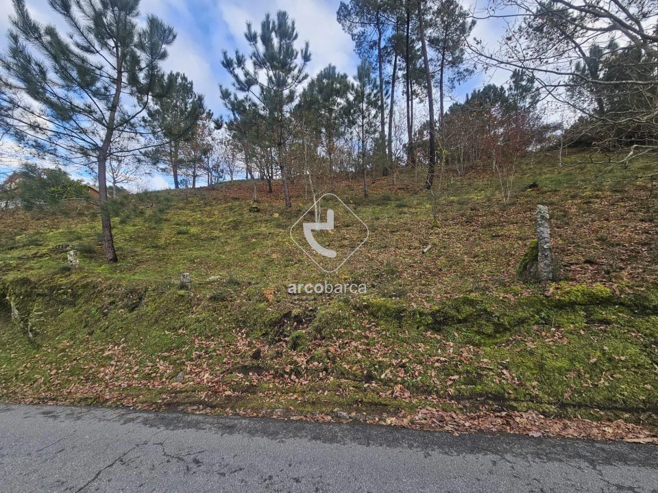 Terreno para Venda em Eiras e Mei Foto 18
