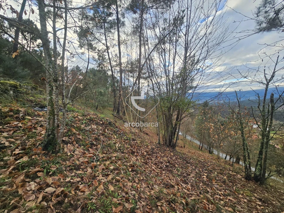 Terreno para Venda em Eiras e Mei Foto 14
