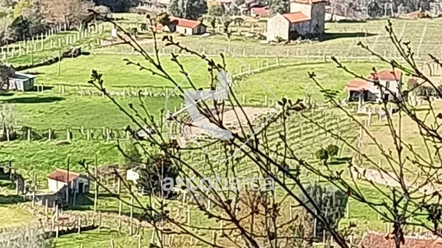 Terreno para Venda em Eiras e Mei