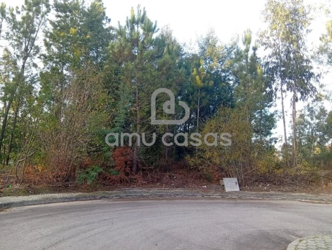 Terreno para Venda em Nogueira do Cravo e Pindelo Foto 4