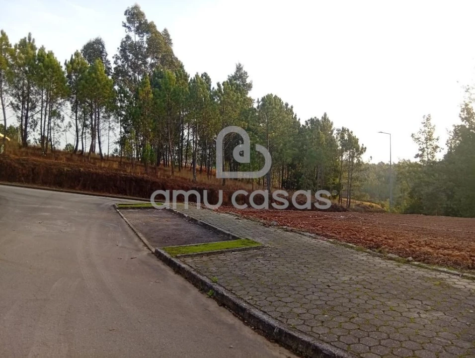 Terreno para Venda em Nogueira do Cravo e Pindelo Foto 7