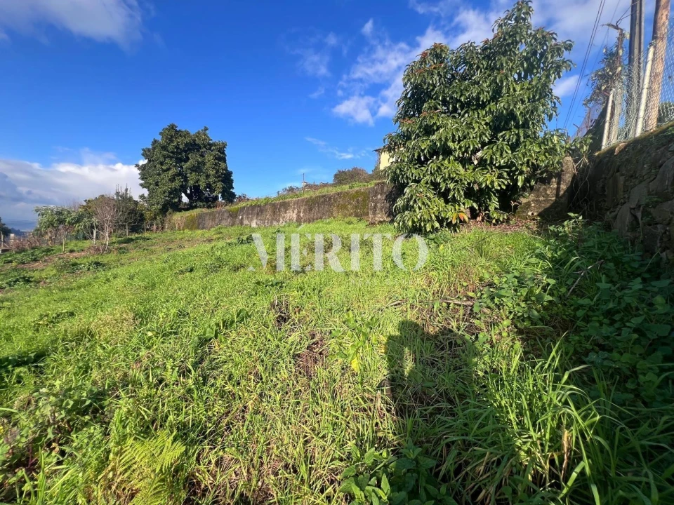 Terreno para Venda em Ferreiros e Gondizalves Foto 12