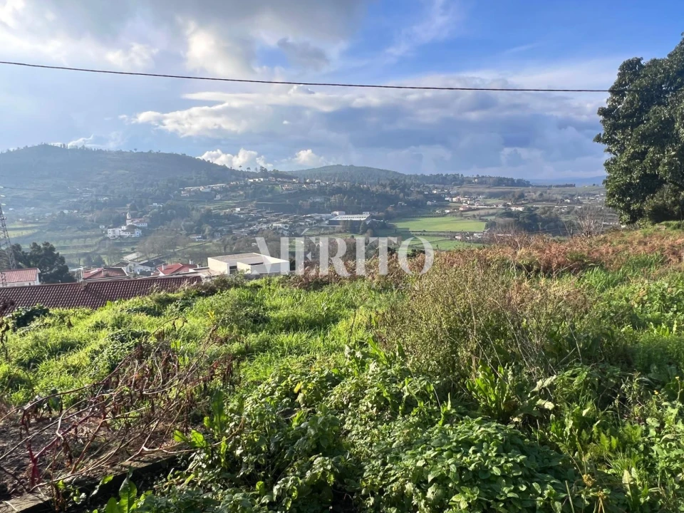 Terreno para Venda em Ferreiros e Gondizalves Foto 16