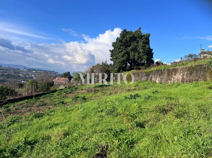 Terreno para Venda em Ferreiros e Gondizalves Foto 11