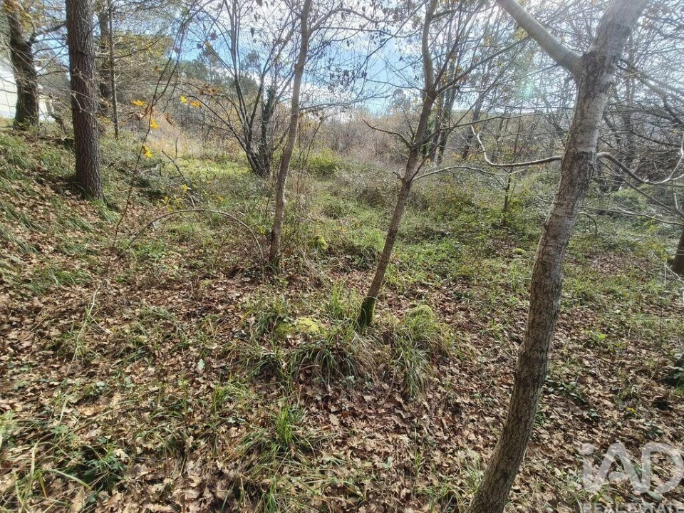 Terreno para Venda em Covas Foto 10