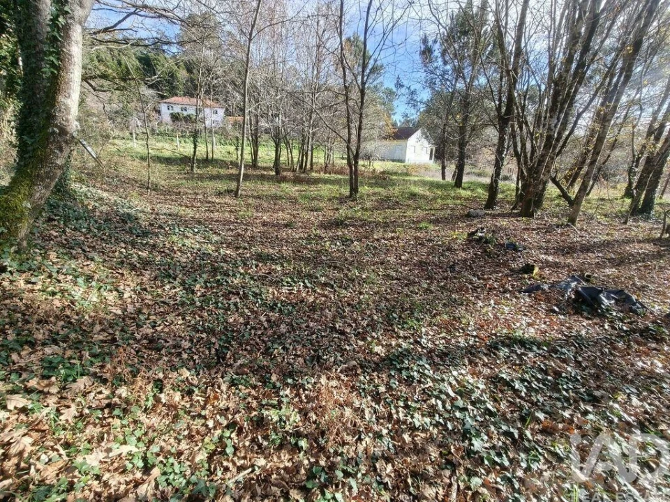 Terreno para Venda em Covas Foto 11