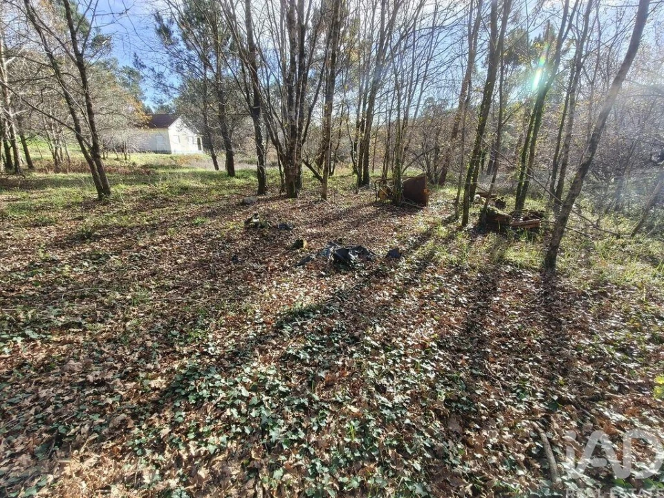 Terreno para Venda em Covas Foto 12