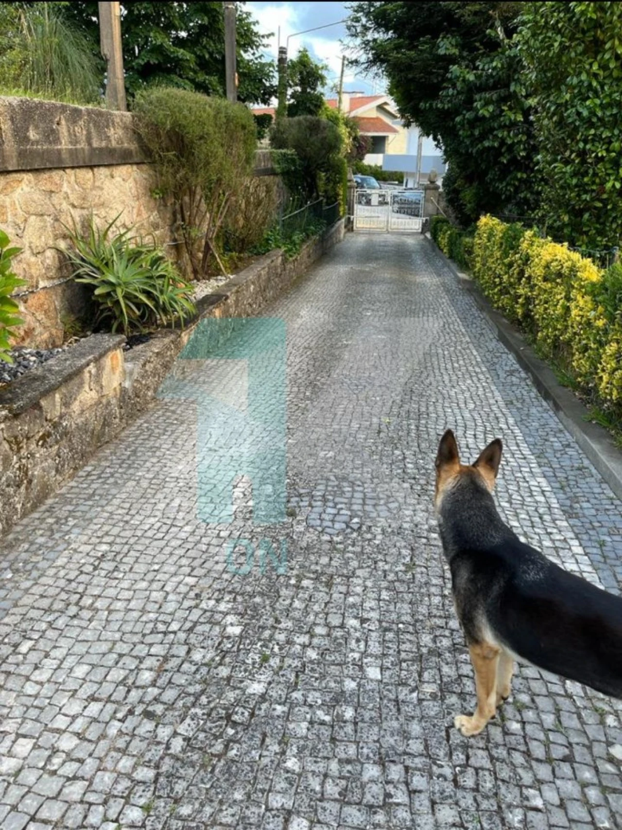 Moradia T3 para Venda em Mafamude e Vilar do Paraíso Foto 4