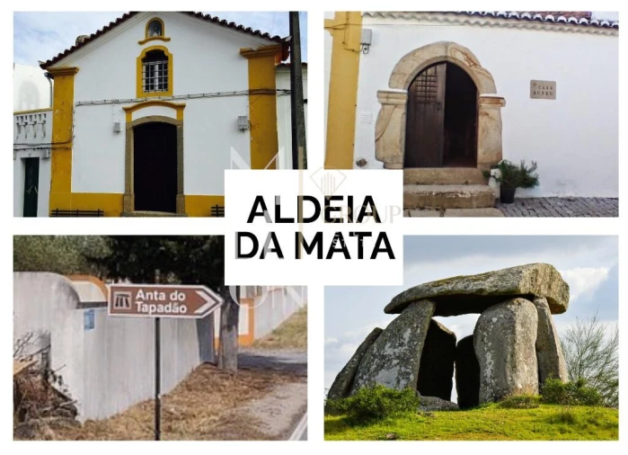 Moradia T6 para Venda em Aldeia da Mata Foto 70