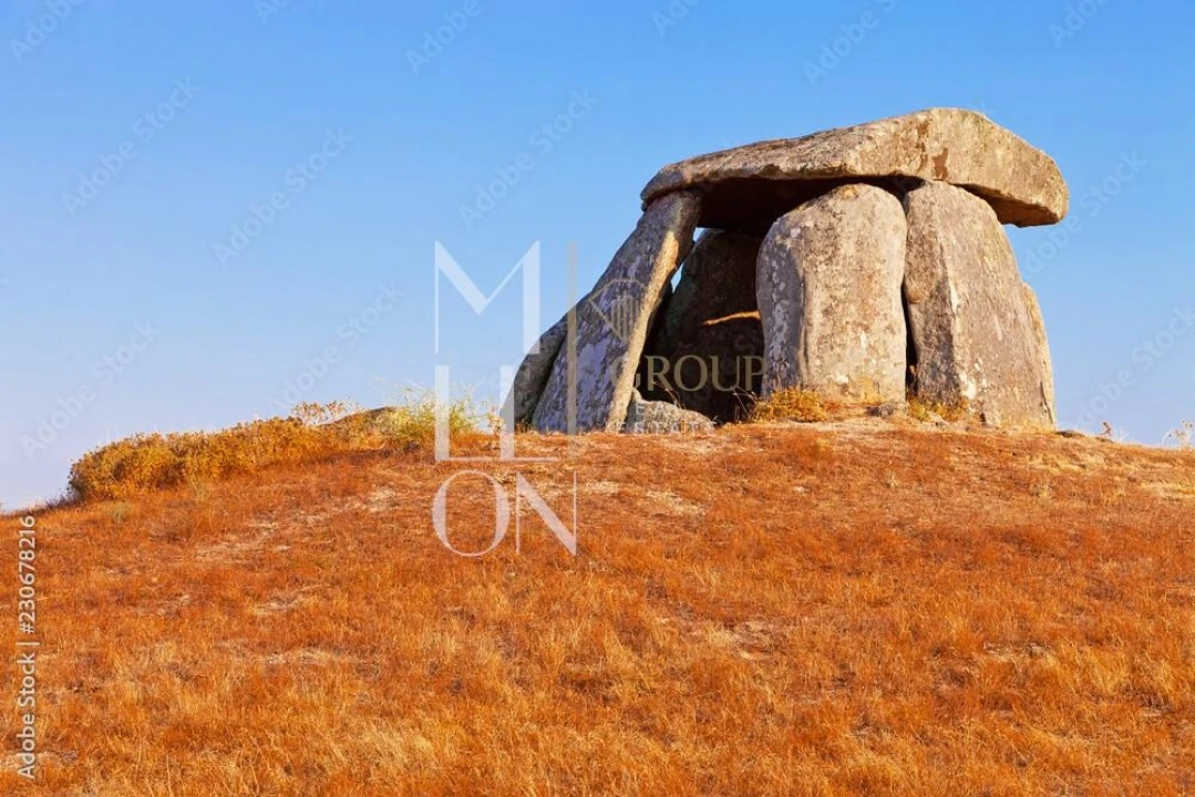 Moradia T6 para Venda em Aldeia da Mata Foto 66