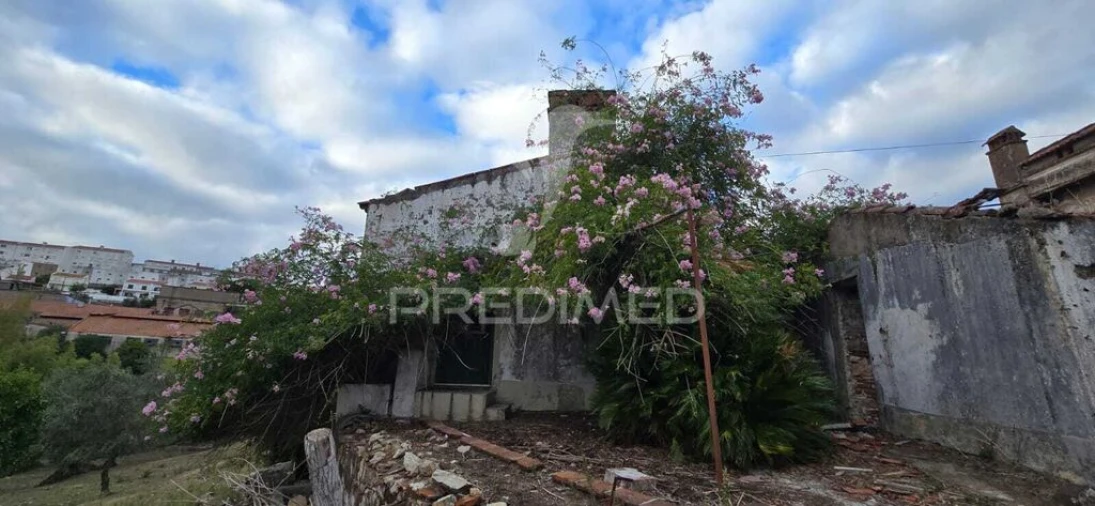 Moradia T6 para Venda em Ribeira de Nisa e Carreiras