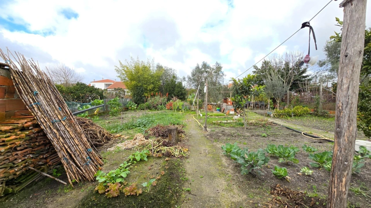 Moradia T3 para Venda em Vendas Novas Foto 12