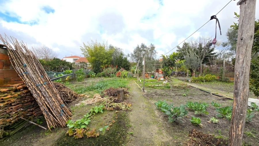 Moradia T3 para Venda em Vendas Novas Foto 12