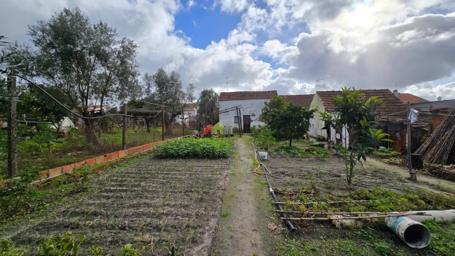 Moradia T3 para Venda em Vendas Novas Foto 21