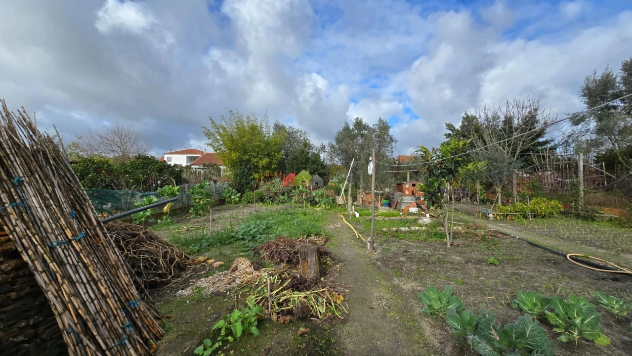 Moradia T3 para Venda em Vendas Novas Foto 20