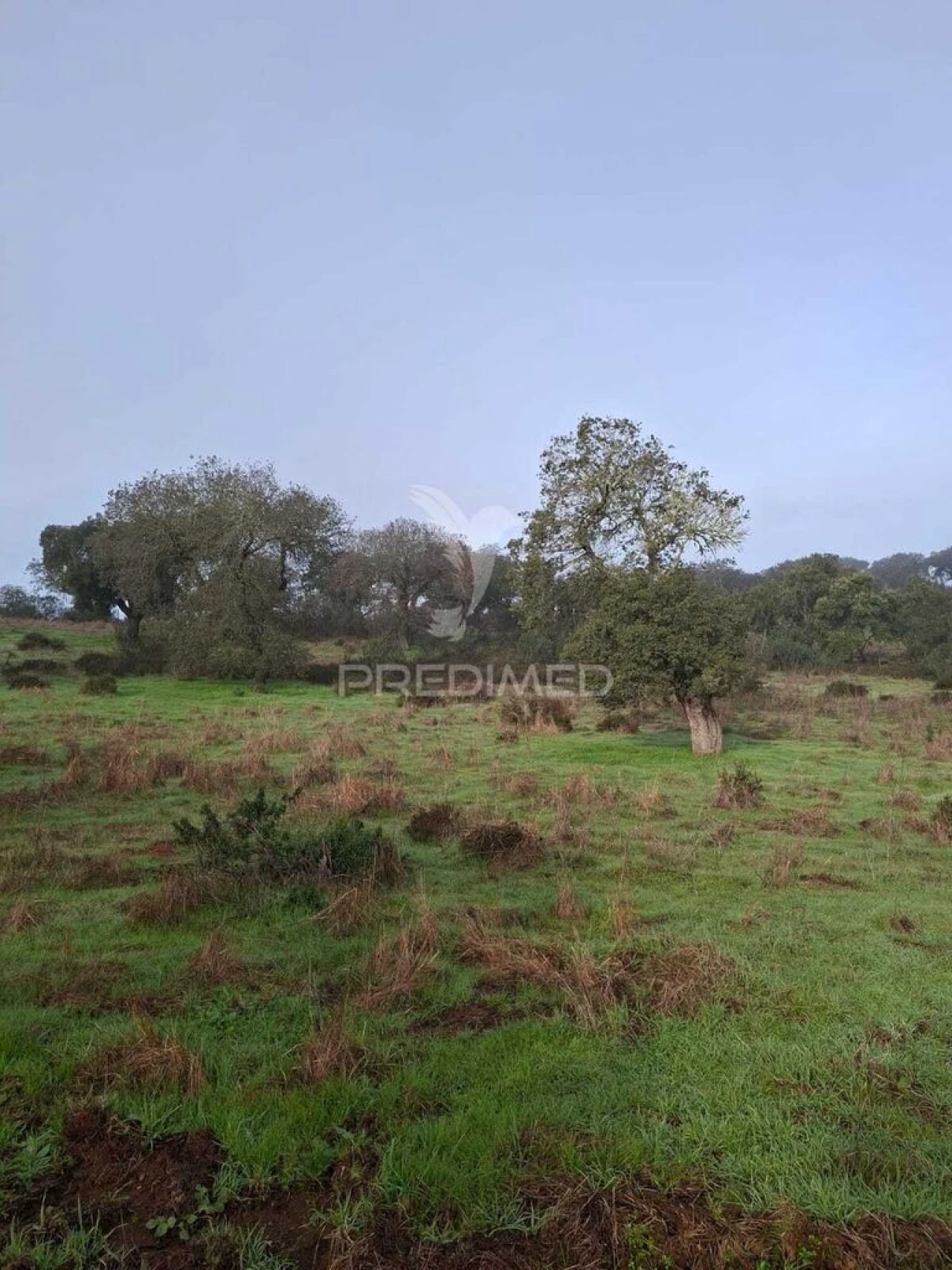 Terreno para Venda em Capelins (Santo Antonio) Foto 3
